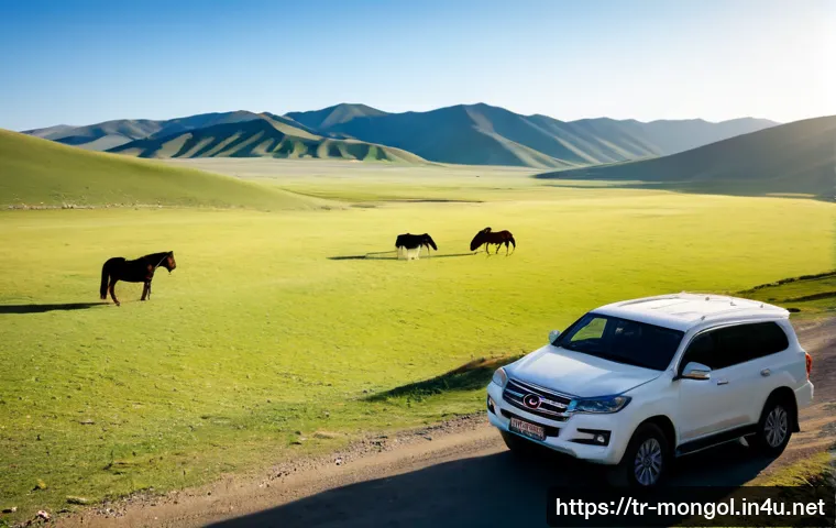 몽골 여행자의 추천 코스 - Photorealistic wide travel scene in Mongolia: a Turkish couple in modest outdoor clothing standing b...